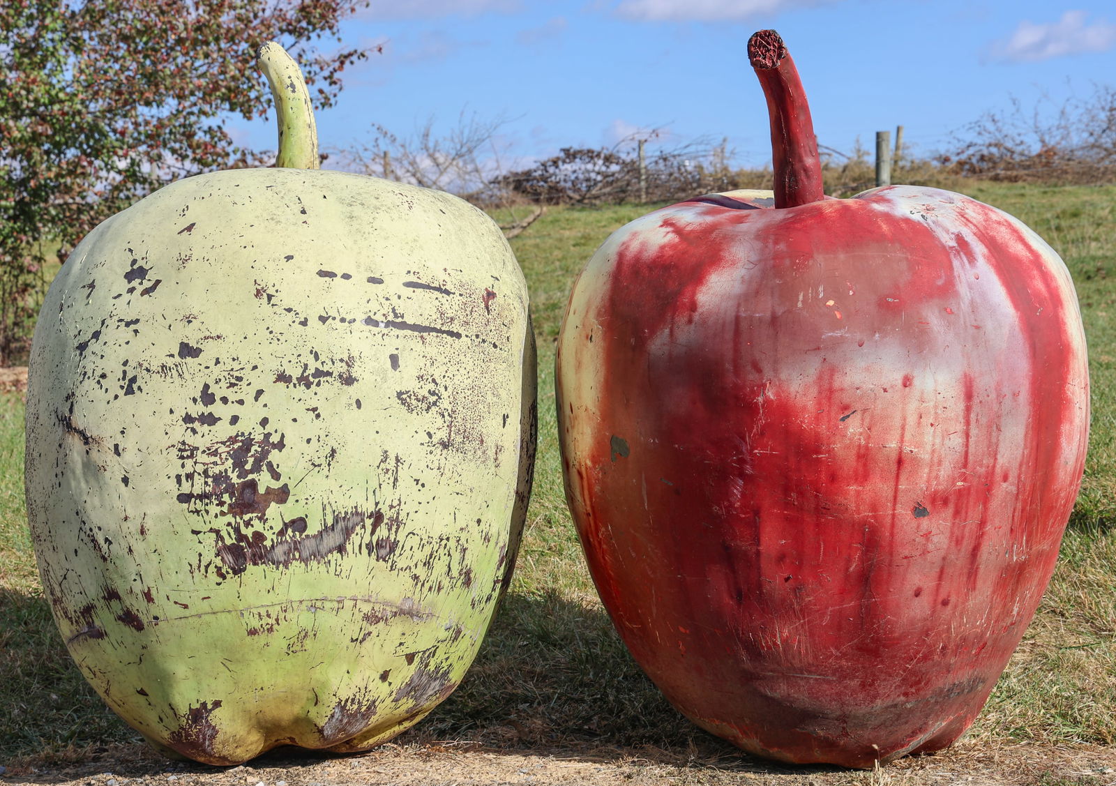 LARGE AMERICAN FOLK ART FIGURAL APPLE TRADE SIGNS, LOT OF TWO (1 of 7)