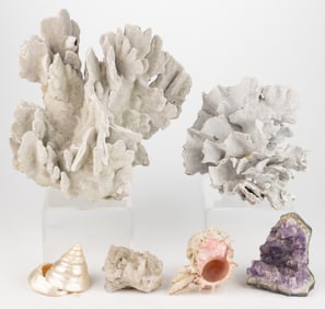 ASSORTED CORAL / AMETHYST AND OTHER NATURAL SPECIMENS, LOT OF SIX