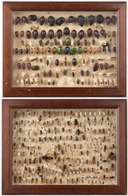 HYMENOPTERA / COLEOPTERA SHADOW-BOX FRAMED INSECT SPECIMENS, LOT OF TWO