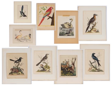 ASSORTED BRITISH AND OTHER ORNITHOLOGICAL AND ANIMAL PRINTS, LOT OF NINE