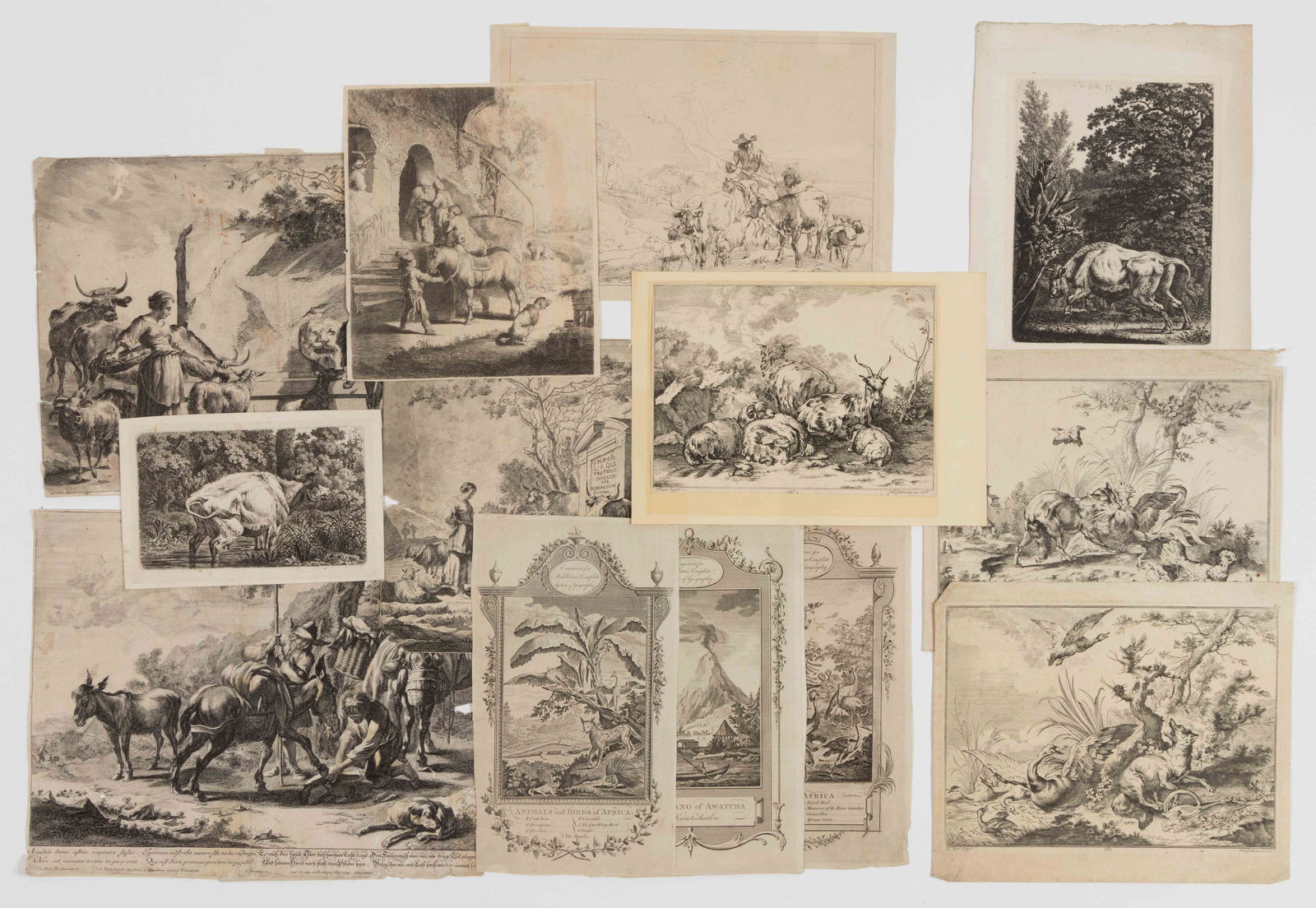 ASSORTED 18TH CENTURY ANIMALIER PRINTS, LOT OF 14 (1 of 8)