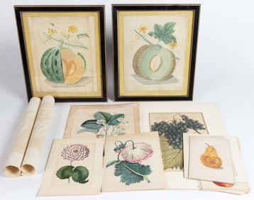 ASSORTED BOTANICAL PRINTS, LOT OF 18