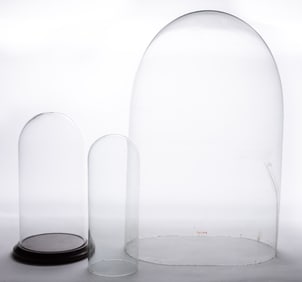 EDWARDIAN / VICTORIAN GLASS DISPLAY DOMES, LOT OF THREE