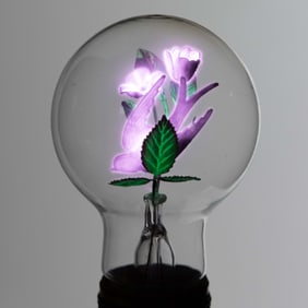 VINTAGE AEROLUX BIRD AND FLORAL FIGURAL FILAMENT GAS DISCHARGE / NEON GLOW LIGHT BULB LAMP