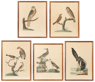 PETER MAZELL (IRISH, 1733-1808) ORNITHOLOGICAL ENGRAVINGS, LOT OF FIVE