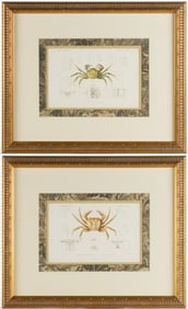 BARON GEORGES CUVIER (FRENCH, 1769-1832) CRAB ENGRAVINGS, LOT OF TWO