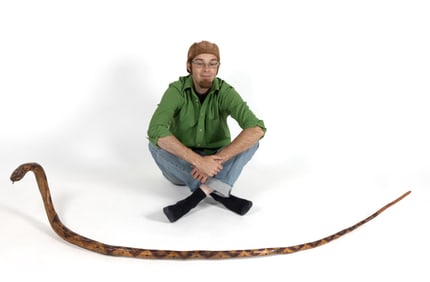 VIRGINIA, POSSIBLY SHENANDOAH VALLEY, MONUMENTAL FOLK ART CARVED AND PAINTED WOODEN SNAKE