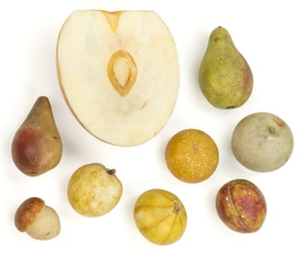 ASSORTED FOLK ART CARVED AND PAINTED FIGURAL STONE FRUITS AND NUT, LOT OF NINE