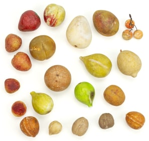 ASSORTED FOLK ART CARVED AND PAINTED FIGURAL STONE FRUITS, NUTS AND VEGETABLES, LOT OF 23