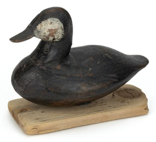 JOHN WILLIAMS (CEDAR ISLAND, NORTH CAROLINA, 1857-1937), ATTRIBUTED, CARVED AND PAINTED RUDDY DUCK