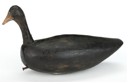 NORTH CAROLINA / VIRGINIA CARVED AND PAINTED ROOTHEAD COOT DECOY