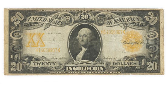 UNITED STATES $20 GOLD COIN OBSOLETE CURRENCY HORSE-BLANKET NOTE