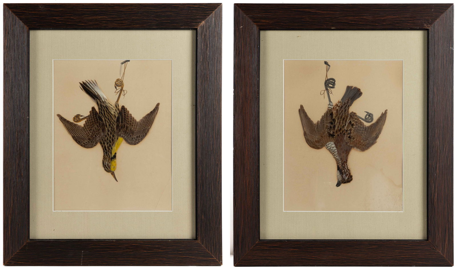 CONTINENTAL SCHOOL (19TH CENTURY) NATURE D'MORT STILL-LIFE ARTWORKS