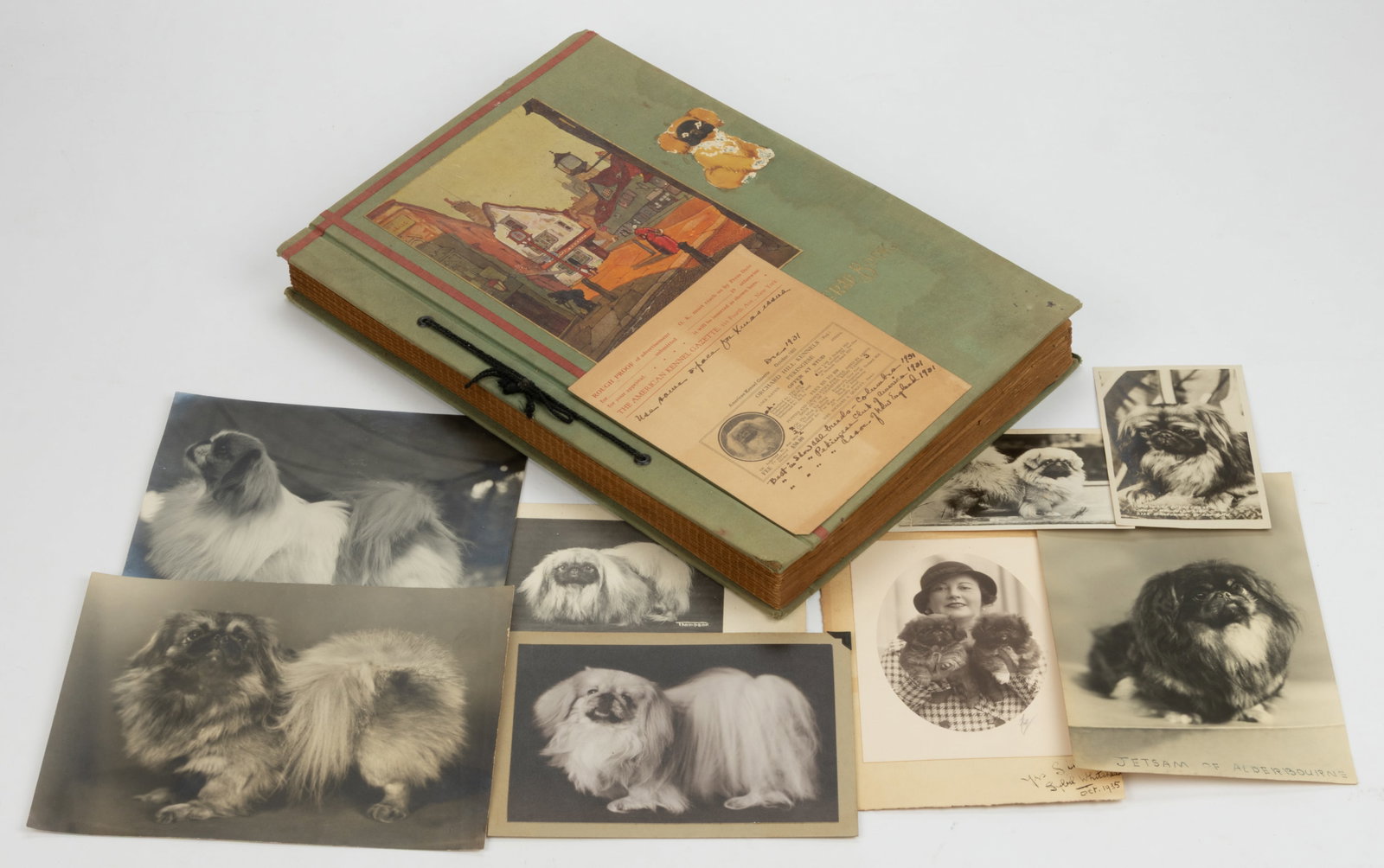 VINTAGE PEKINGESE PURE BRED DOGS PHOTOGRAPH ARCHIVES IN ALBUM: VINTAGE PEKINGESE PURE BRED DOGS PHOTOGRAPH ARCHIVES IN ALBUM, comprising many real photo portraits, some post cards of various Pekingese, many with dog and/or owner's name including Sybil Wh