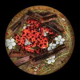 CLINTON SMITH (AMERICAN, B. 1979) FROG AND FLOWERS LAMPWORK STUDIO ART GLASS PAPERWEIGHT