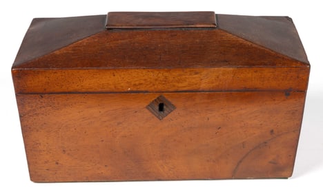 ENGLISH REGENCY SARCOPHAGUS-FORM MAHOGANY-VENEERED TEA CADDY