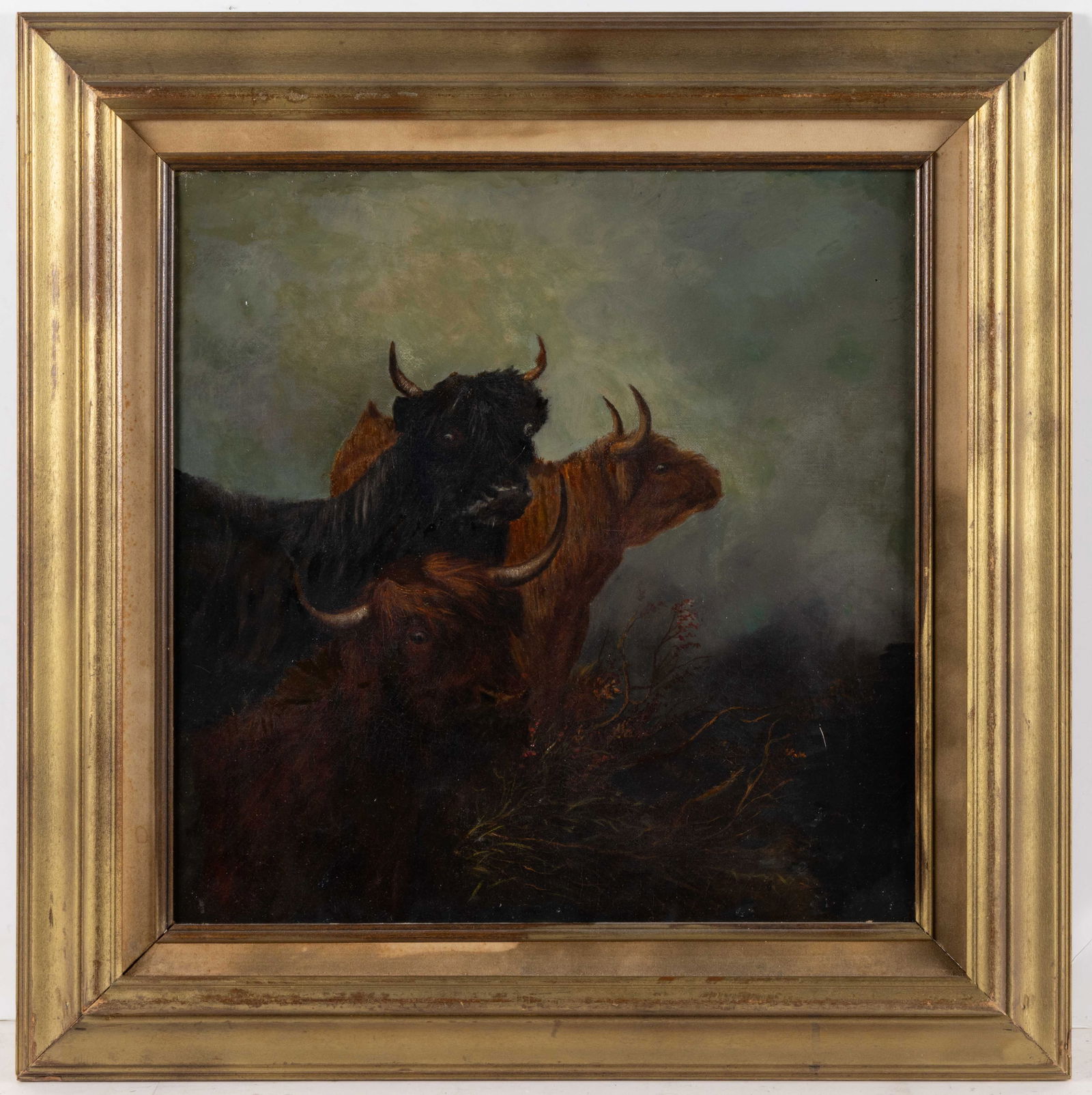AMERICAN OR BRITISH SCHOOL (19TH CENTURY) PAINTING OF HIGHLAND CATTLE: AMERICAN OR BRITISH SCHOOL (19TH CENTURY) PAINTING OF HIGHLAND CATTLE, oil on canvas, landscape setting, no signature located. Housed in a modern frame. Fourth quarter 19th century. 15 1/2" SQ (s