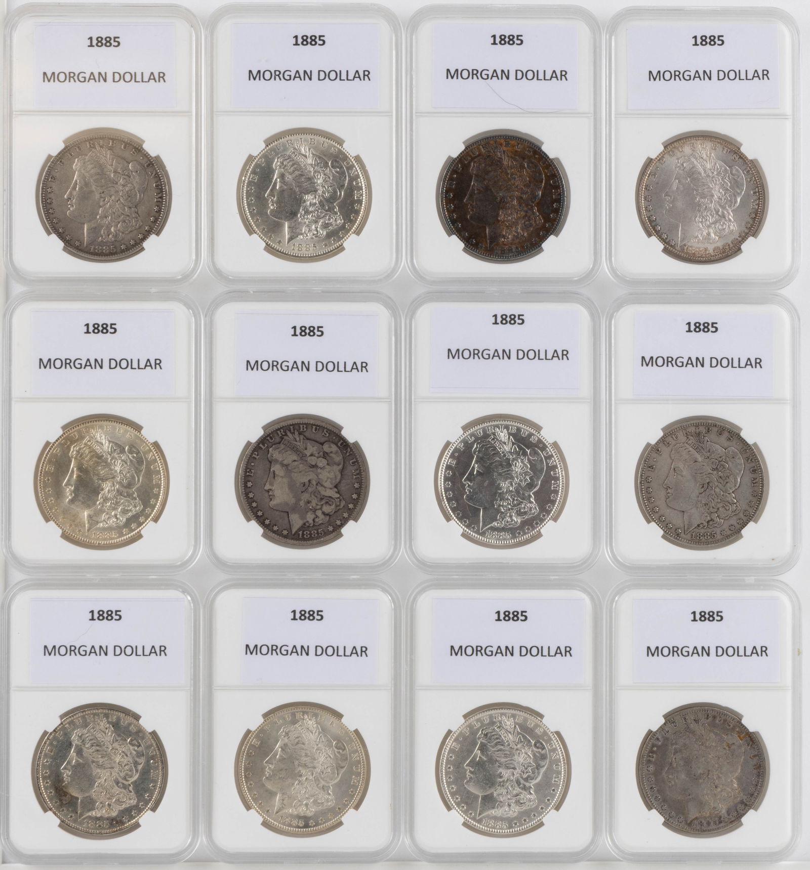 UNITED STATES 1885 MORGAN SILVER DOLLAR COINS, LOT OF 12: UNITED STATES 1885 MORGAN SILVER DOLLAR COINS, LOT OF 12, each housed in a plastic presentation case. Provenance: From the collection of a prominent Northern VA gentleman.