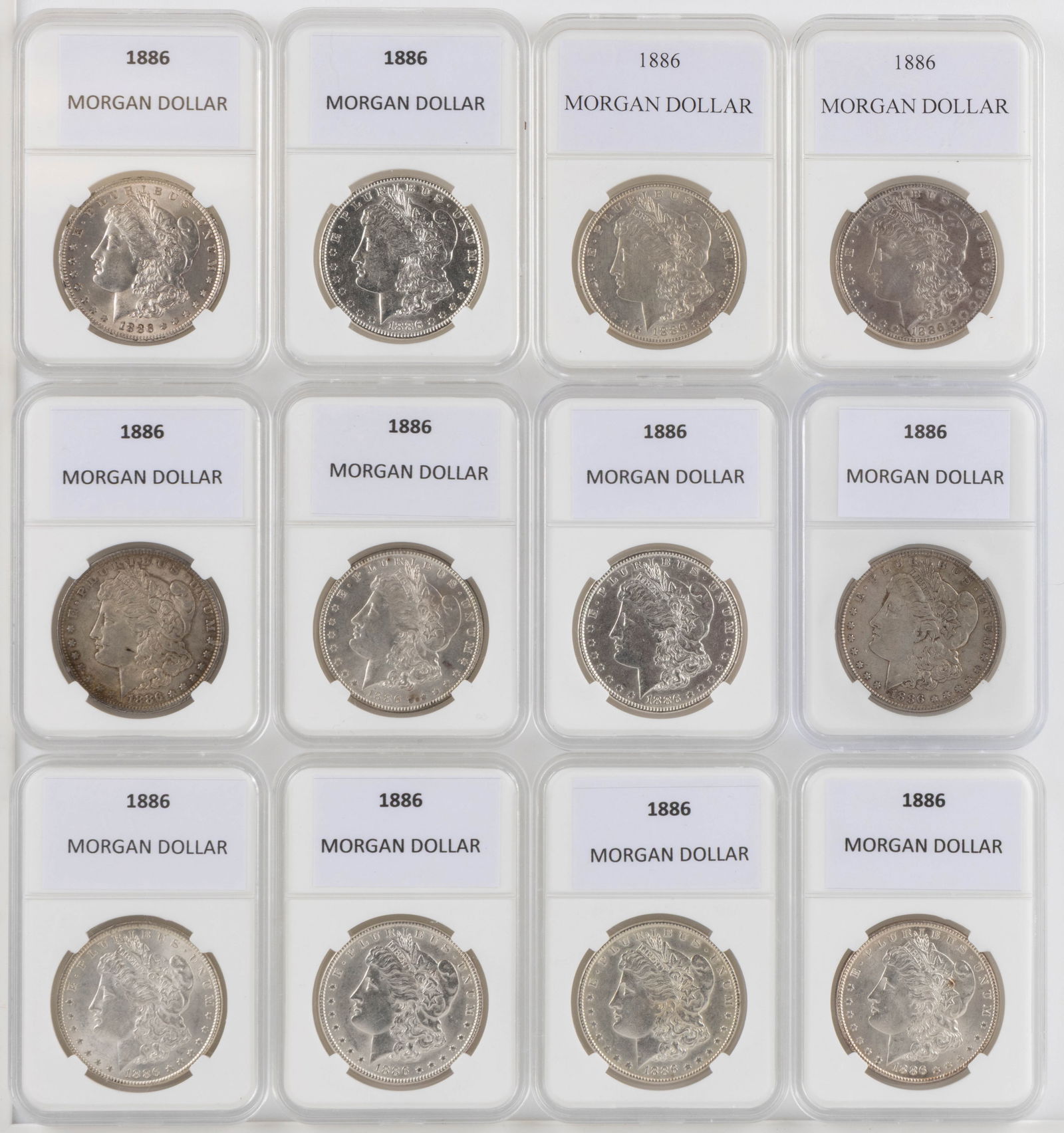 UNITED STATES 1886 MORGAN SILVER DOLLAR COINS, LOT OF 12: UNITED STATES 1886 MORGAN SILVER DOLLAR COINS, LOT OF 12, each housed in a plastic presentation case. Provenance: From the collection of a prominent Northern VA gentleman.