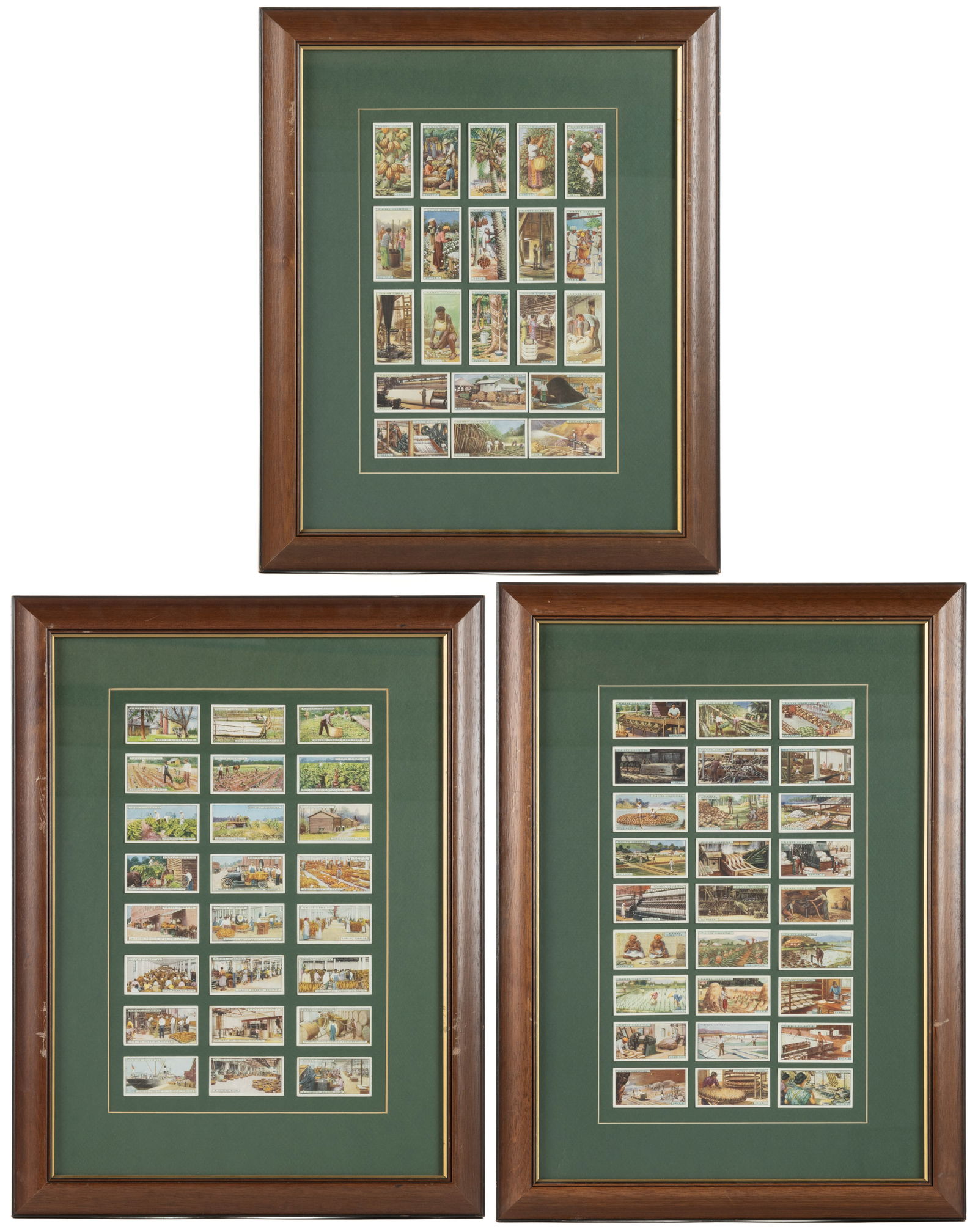 PLAYER'S CIGARETTES "PRODUCTS OF THE WORLD" TOBACCO CARD COLLECTION IN THREE FRAMES: PLAYER'S CIGARETTES "PRODUCTS OF THE WORLD" TOBACCO CARD COLLECTION IN THREE FRAMES, comprising a grouping from the "Products of the World" series. Each are housed under g