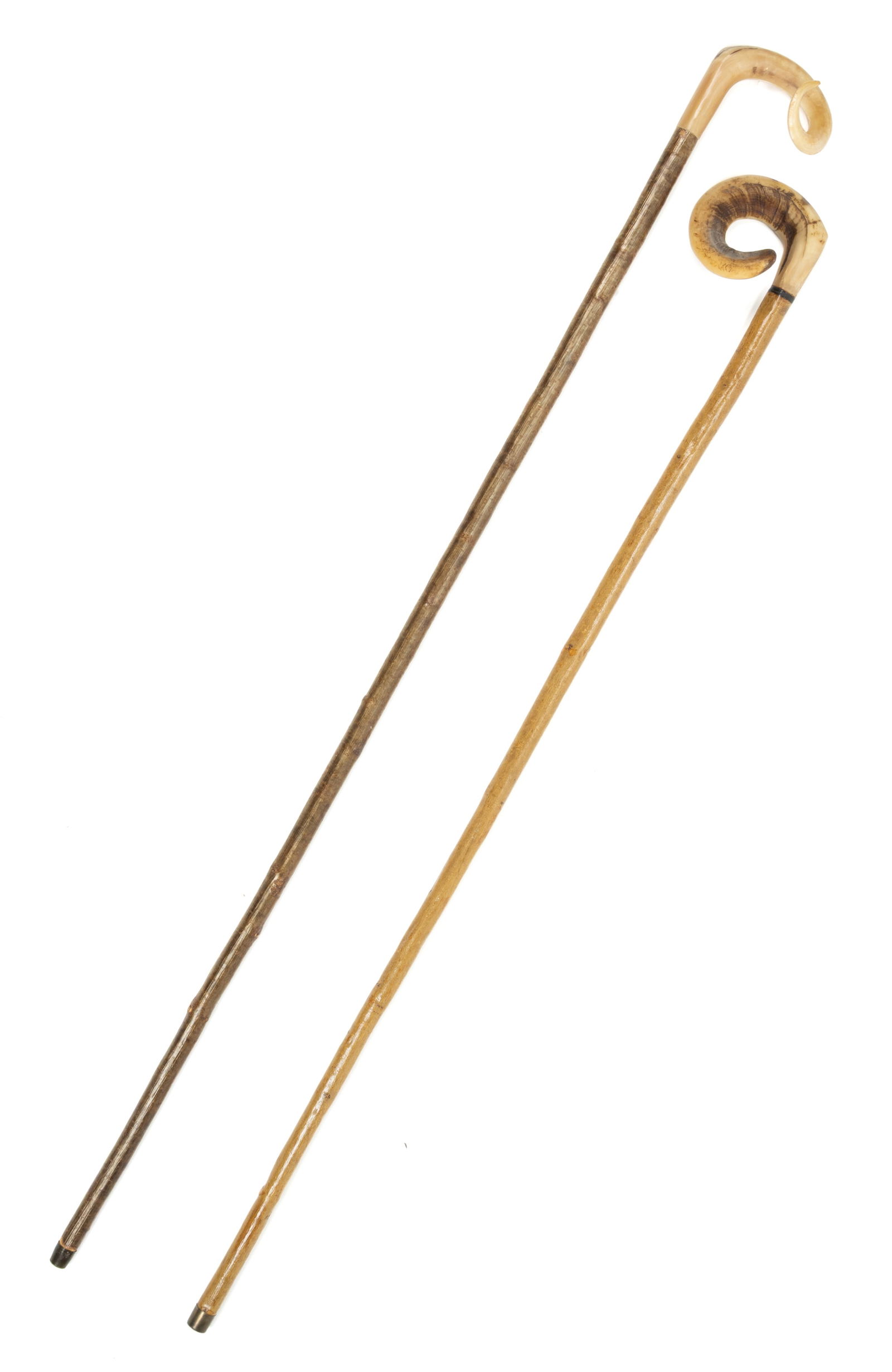 VINTAGE CURLY RAM'S HORN WALKING STICKS / STAFFS, LOT OF TWO (1 of 3)