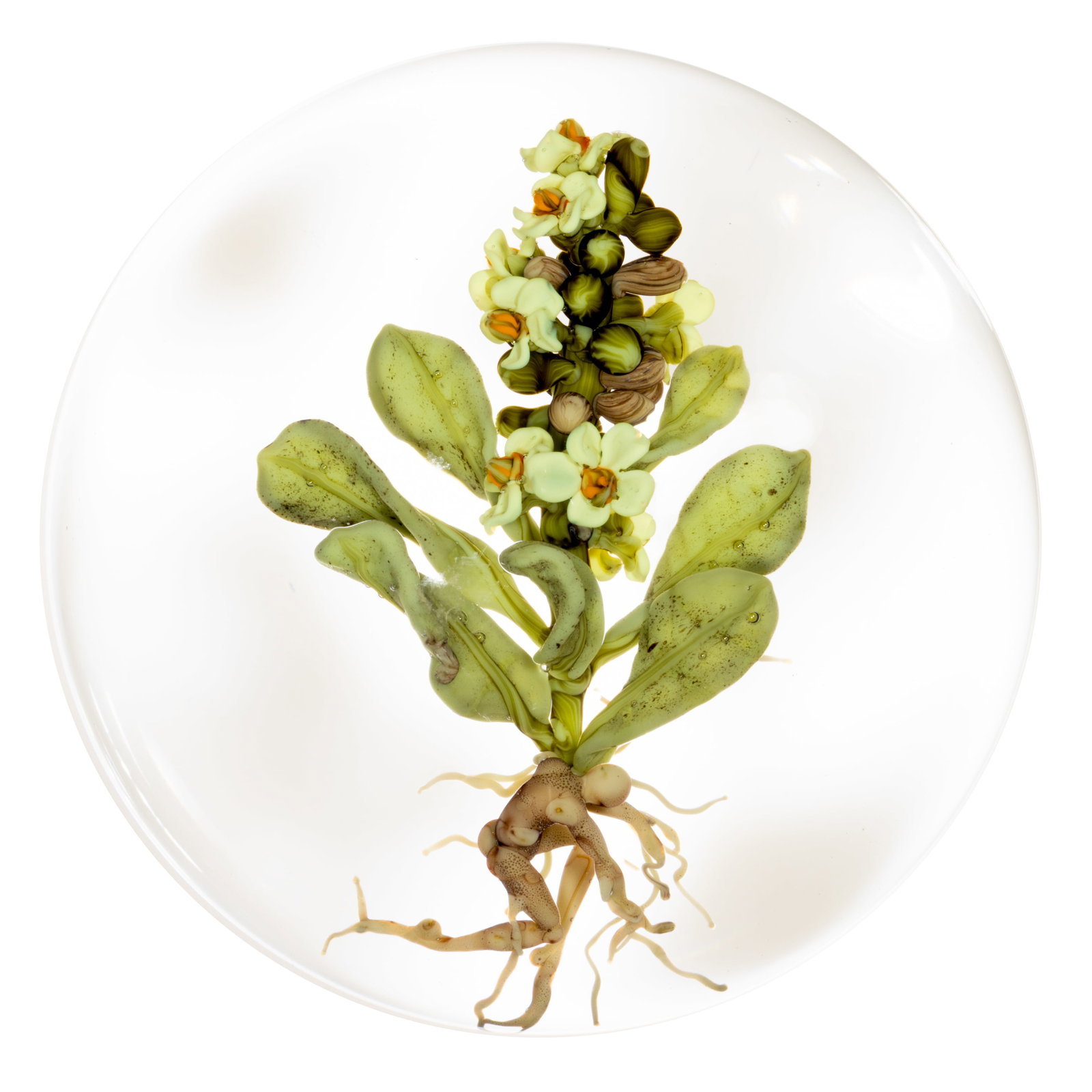 PAUL STANKARD (AMERICAN B. 1943) FLORAL SPIRE AND ROOT PEOPLE LAMPWORK STUDIO ART GLASS PAPERWEIGHT (1 of 3)