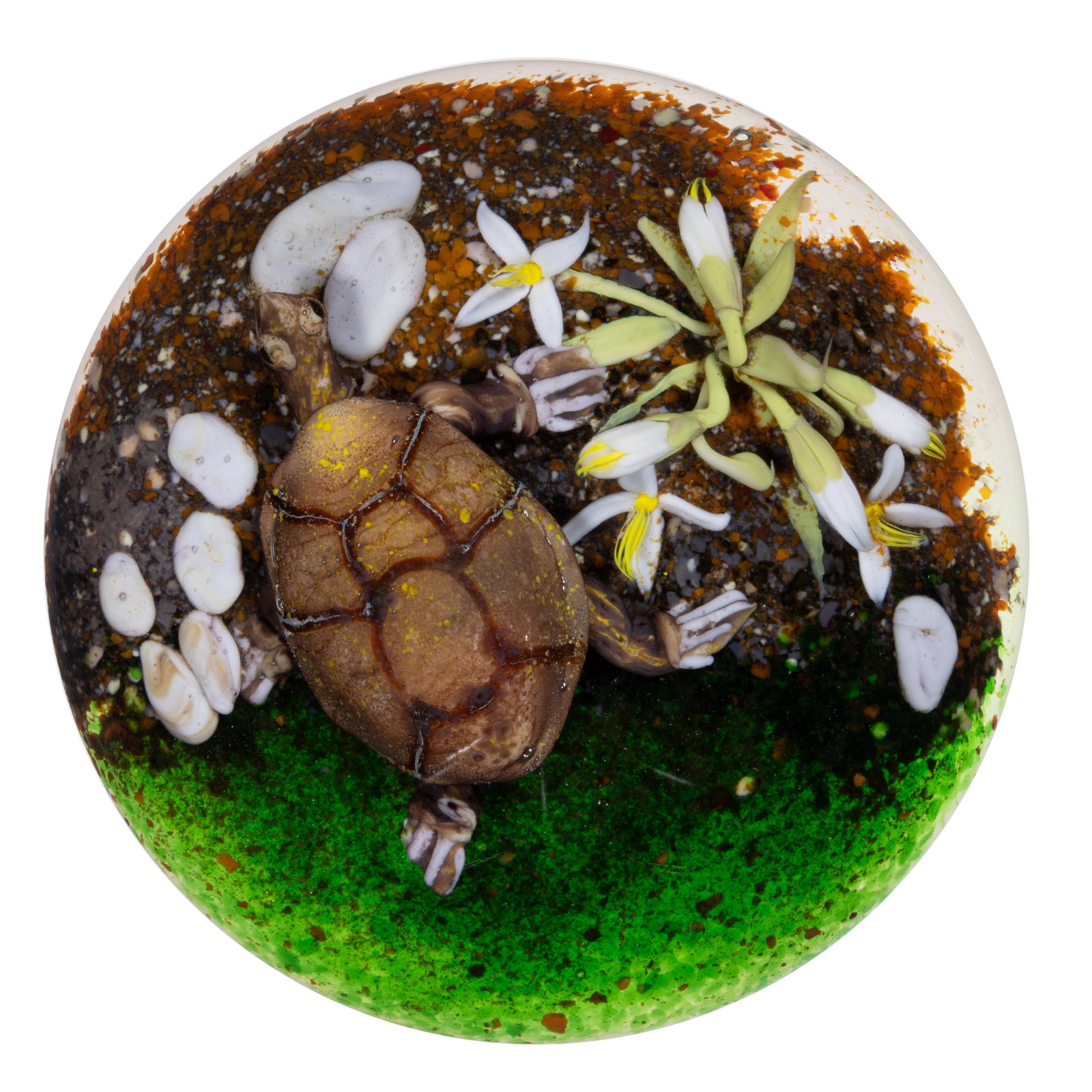 JIM D'ONOFRIO (AMERICAN, B. 1951) TURTLE BY THE LAKE LAMPWORK STUDIO ART GLASS PAPERWEIGHT: JIM D'ONOFRIO (AMERICAN, B. 1951) TURTLE BY THE LAKE LAMPWORK STUDIO ART GLASS PAPERWEIGHT, large brown turtle exiting transparent green frit pond water and walking towards a brown frit shore