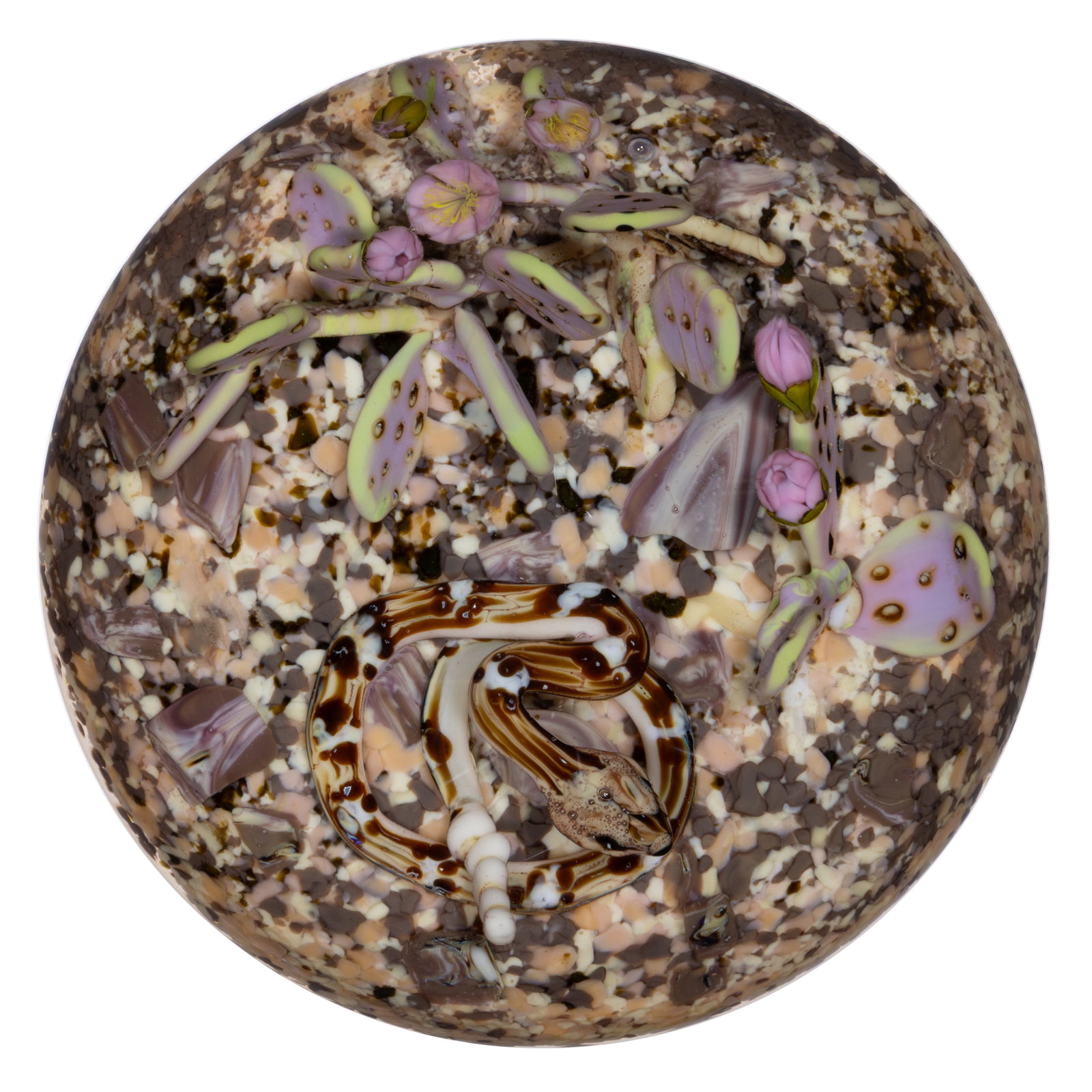 JIM D'ONOFRIO (AMERICAN, B. 1951) RATTLESNAKE IN THE DESERT LAMPWORK STUDIO ART GLASS PAPERWEIGHT: JIM D'ONOFRIO (AMERICAN, B. 1951) RATTLESNAKE IN THE DESERT LAMPWORK STUDIO ART GLASS PAPERWEIGHT, scene featuring a tan and brown rattlesnake coiled above and desert frit ground with pink and lig