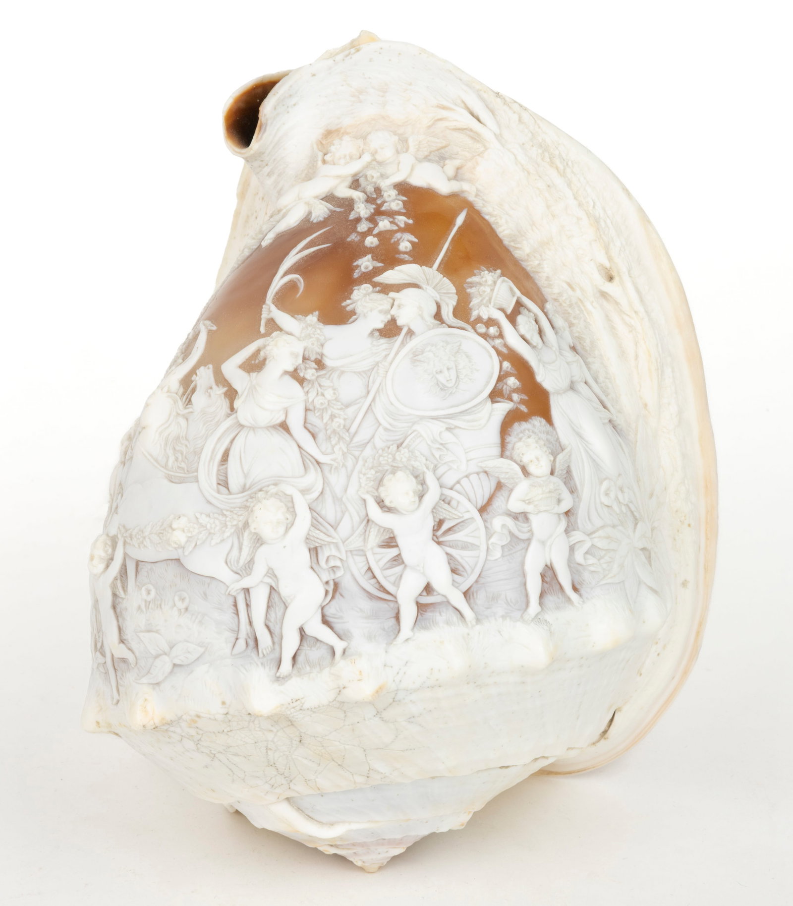 CONTINENTAL, PROBABLY ITALIAN, CAMEO CARVED CONCH SHELL (1 of 4)