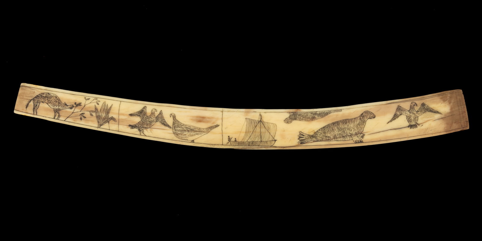 AMERICAN FOLK ART SCRIMSHAW CORSET BUSK / STAY (1 of 2)