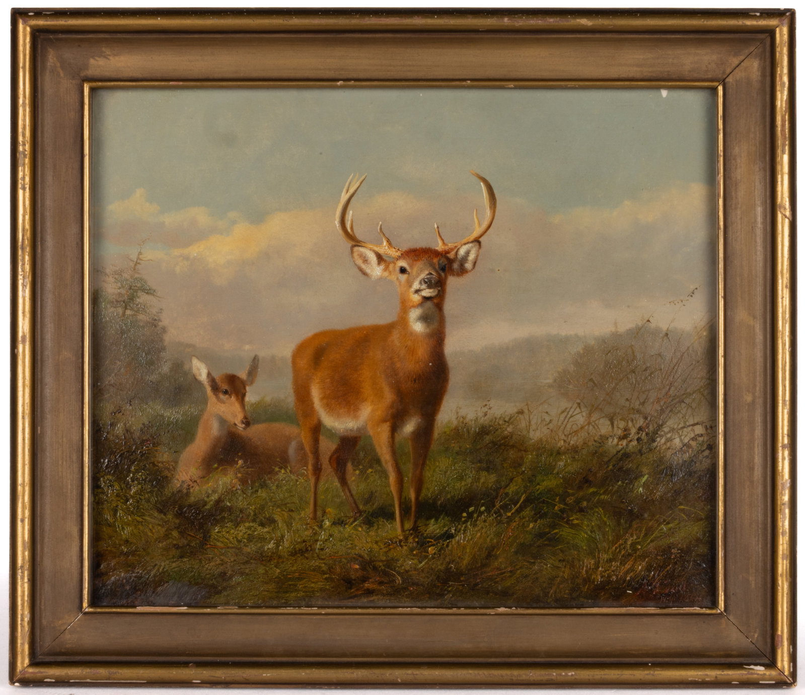 ARTHUR FITZWILLIAM TAIT (BRITISH-AMERICAN, 1819-1905) PORTRAIT OF DEER IN A LANDSCAPE (1 of 9)