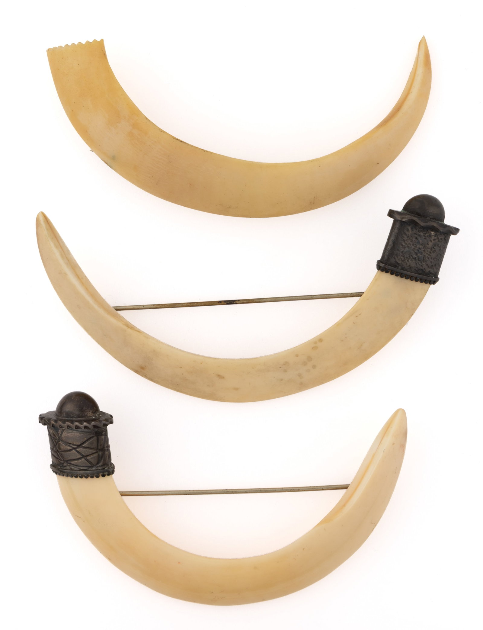 VICTORIAN / ANTIQUE BOAR'S TOOTH BROOCHES, LOT OF THREE: VICTORIAN / ANTIQUE BOAR'S TOOTH BROOCHES, LOT OF THREE, each made from a curved boar's tooth having applied hinged pin fastener and hook clasp to back, including two with silver-toned metal c