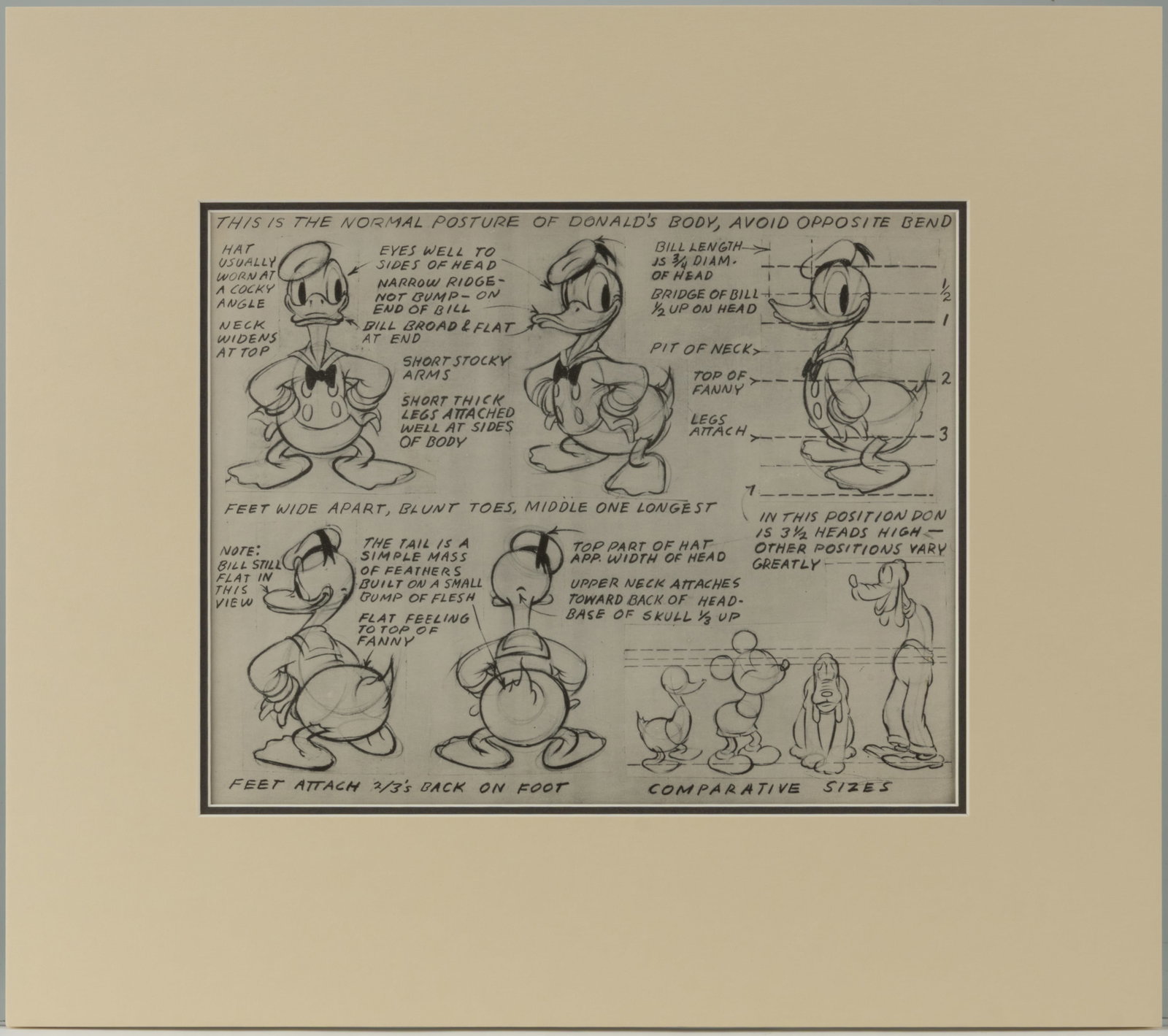 WALT DISNEY DONALD DUCK ORIGINAL MODEL SHEET (1 of 2)