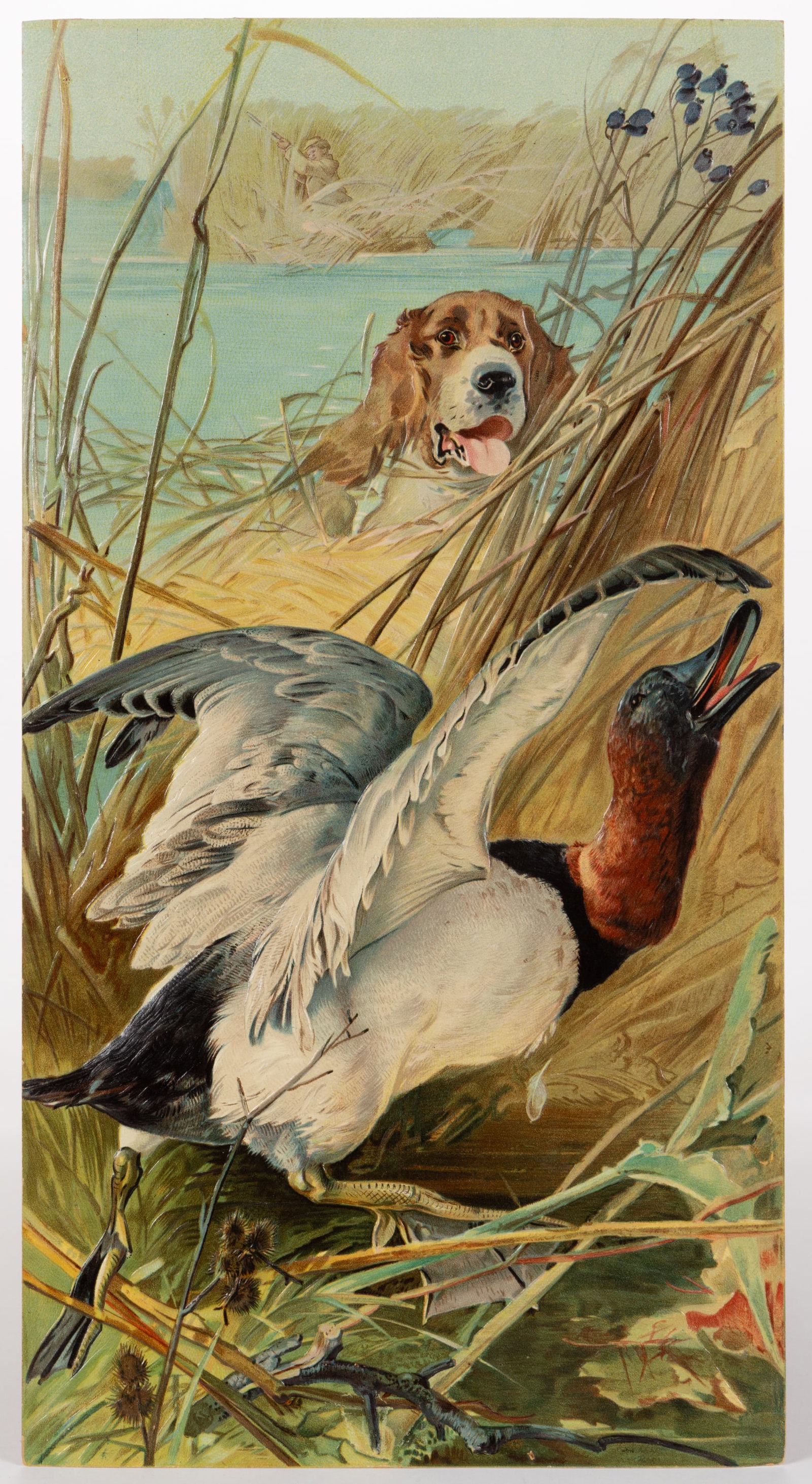 VINTAGE FOLK ART EMBOSSED DUCK HUNTING POSTER: VINTAGE FOLK ART EMBOSSED DUCK HUNTING POSTER, scene of a spaniel flushing out a canvasback duck from a group of reeds with a shooting hunter in the background on the other side of the lake, with embo