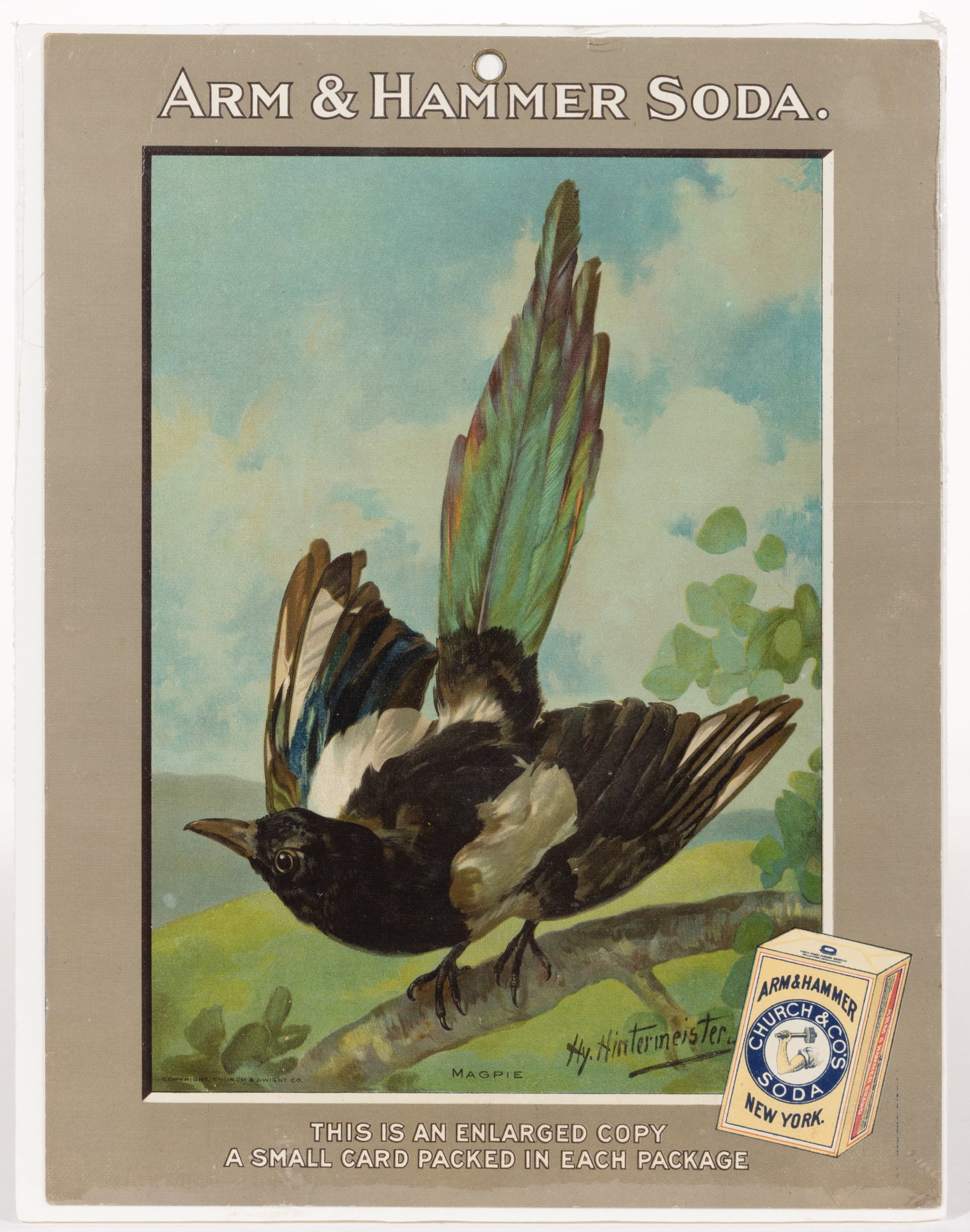 ARM & HAMMER SODA CARD-PAPER STORE TRADE CARD ADVERTISING SIGN (1 of 1)