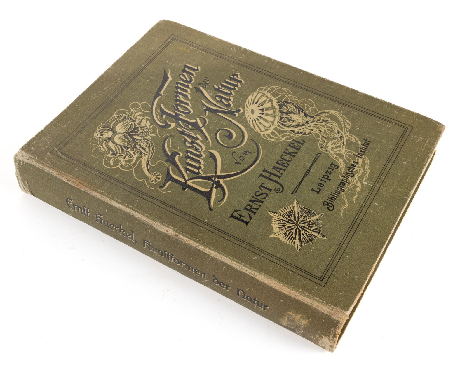 ANTIQUARIAN GERMAN NATURAL HISTORY ILLUSTRATED VOLUME (1 of 7)