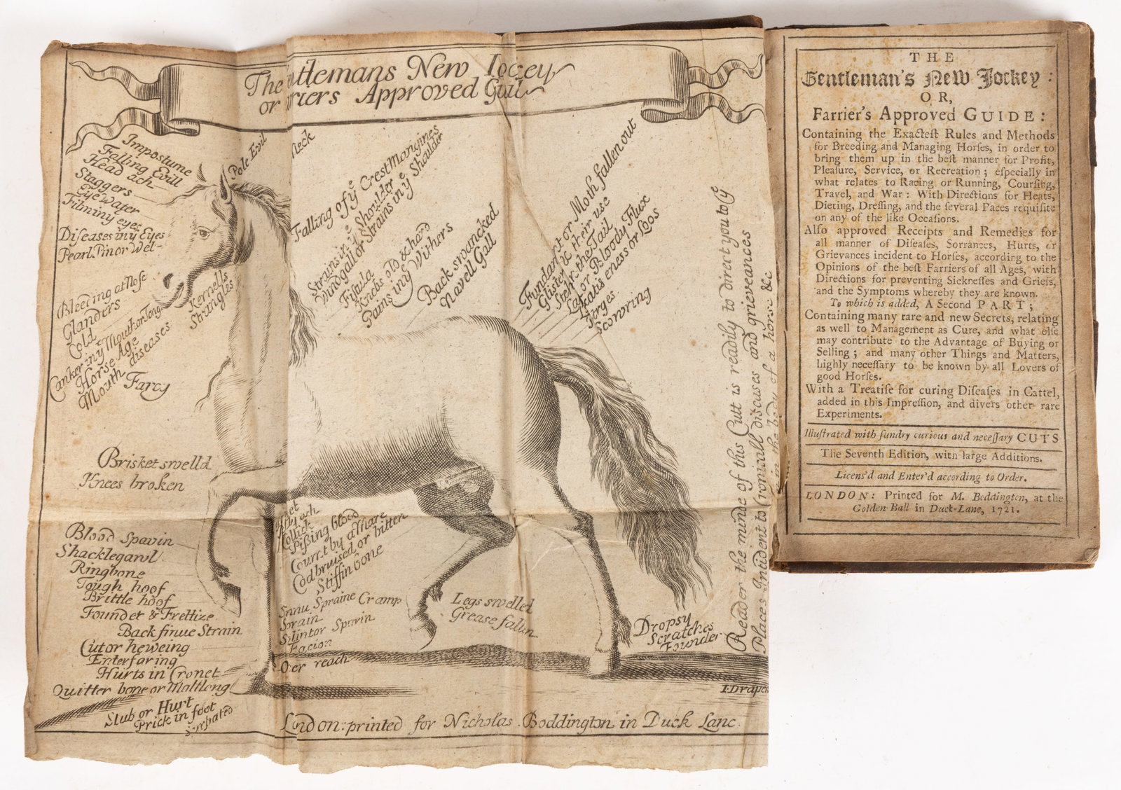RARE 18TH CENTURY EQUESTRIAN AND VETERINARIAN VOLUME (1 of 4)