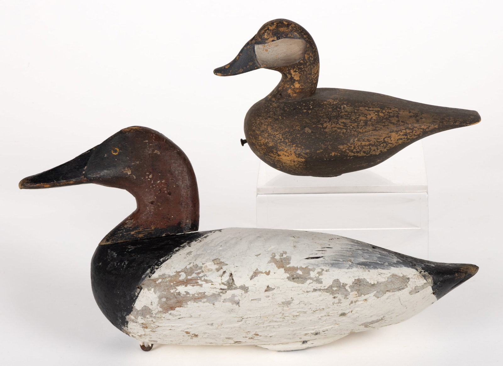 AMERICAN FOLK ART CARVED AND PAINTED DUCK DECOYS, LOT OF TWO: AMERICAN FOLK ART CARVED AND PAINTED DUCK DECOYS, LOT OF TWO, each solid-body form with likely original painted surface, comprising a Canvasback drake and a Ruddy drake, each with applied le