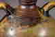 item-25110652=4