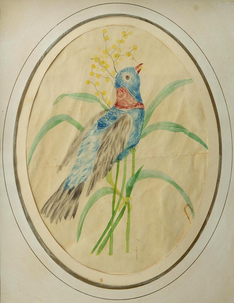 AMERICAN FOLK ART BIRD DRAWING: AMERICAN FOLK ART BIRD DRAWING, watercolor on paper, depicting a blue, red, and black bird feeding on yellow berries. Inscribed "By my great grandmother / Mary King Smith Tyler / 1804-1884" on label v