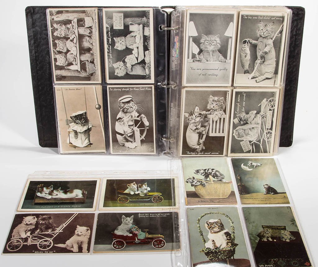 ASSORTED CAT POST CARDS: ASSORTED CAT POST CARDS, approximately 219, including some real photos. Some unused, some undivided backs. Publishers include Alfred Stiebel & Co., Rotograph Co., Raphael Tuck & Sons, and Metropolitan