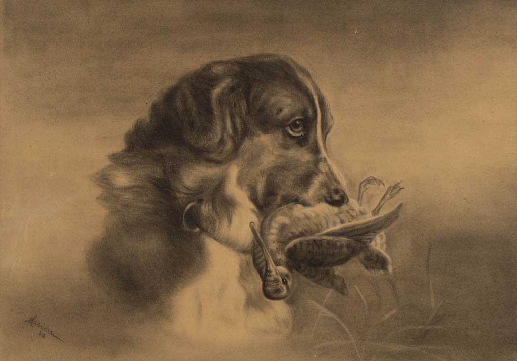 AMERICAN OR BRITISH SCHOOL (EARLY 20TH CENTURY): AMERICAN OR BRITISH SCHOOL (EARLY 20TH CENTURY) SPORTING DRAWING, charcoal on paper, depicting a bird dog holding retrieved bird. Signed and dated "Marion / 1902" lower left. Professionally matted and
