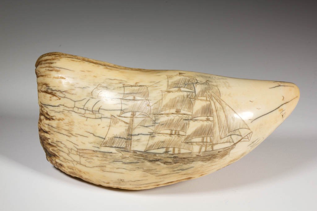 SCRIMSHAW-DECORATED WHALE'S TOOTH: SCRIMSHAW-DECORATED WHALE'S TOOTH, carved with a sailing ship in profile, three-masted and in full sail, and signed and dated "J.M.T. / 1834." 19th century. 6 1/2" L.Provenance: From an Alexandria, VA