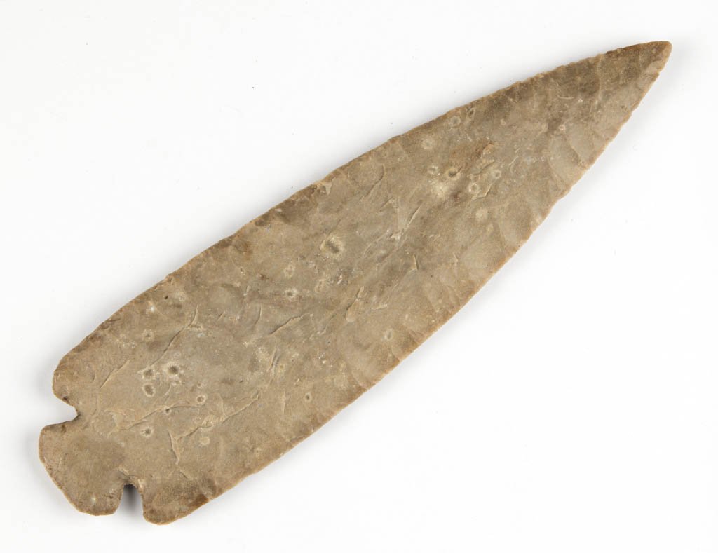NATIVE AMERICAN STONE POINT: NATIVE AMERICAN STONE POINT, notched, convex base, large specimen. Attributed by William Jack Hranicky as Dovetail point. Attributed to Archaic period, 8,000-3,000 B.C. 7 3/8" L. Provenance: From the 