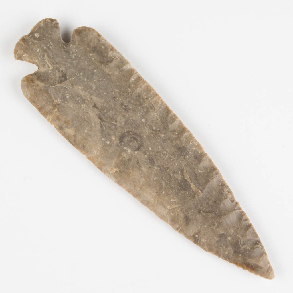 NATIVE AMERICAN STONE POINT: NATIVE AMERICAN STONE POINT, notched, convex base, large specimen. Attributed by William Jack Hranicky as St. Charles point. Attributed to Archaic period, 8,000-3,000 B.C. 6 1/2" L. Provenance: From t