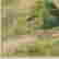 item-42424542=3