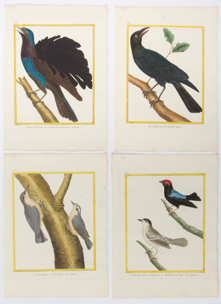 FRANCOIS NICOLAS MARTINET (FRENCH, 1725-1804) (1 of 1)