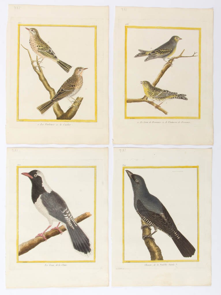 FRANCOIS NICOLAS MARTINET (FRENCH, 1725-1804) (1 of 1)