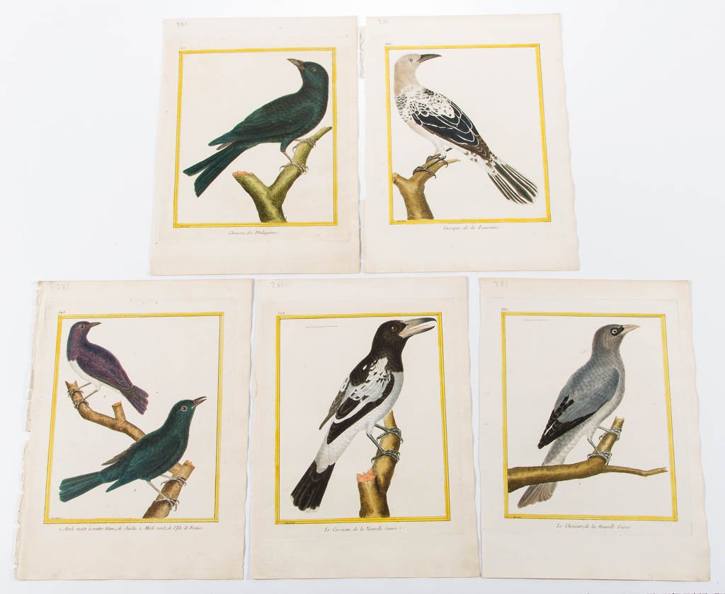 FRANCOIS NICOLAS MARTINET (FRENCH, 1725-1804) (1 of 1)