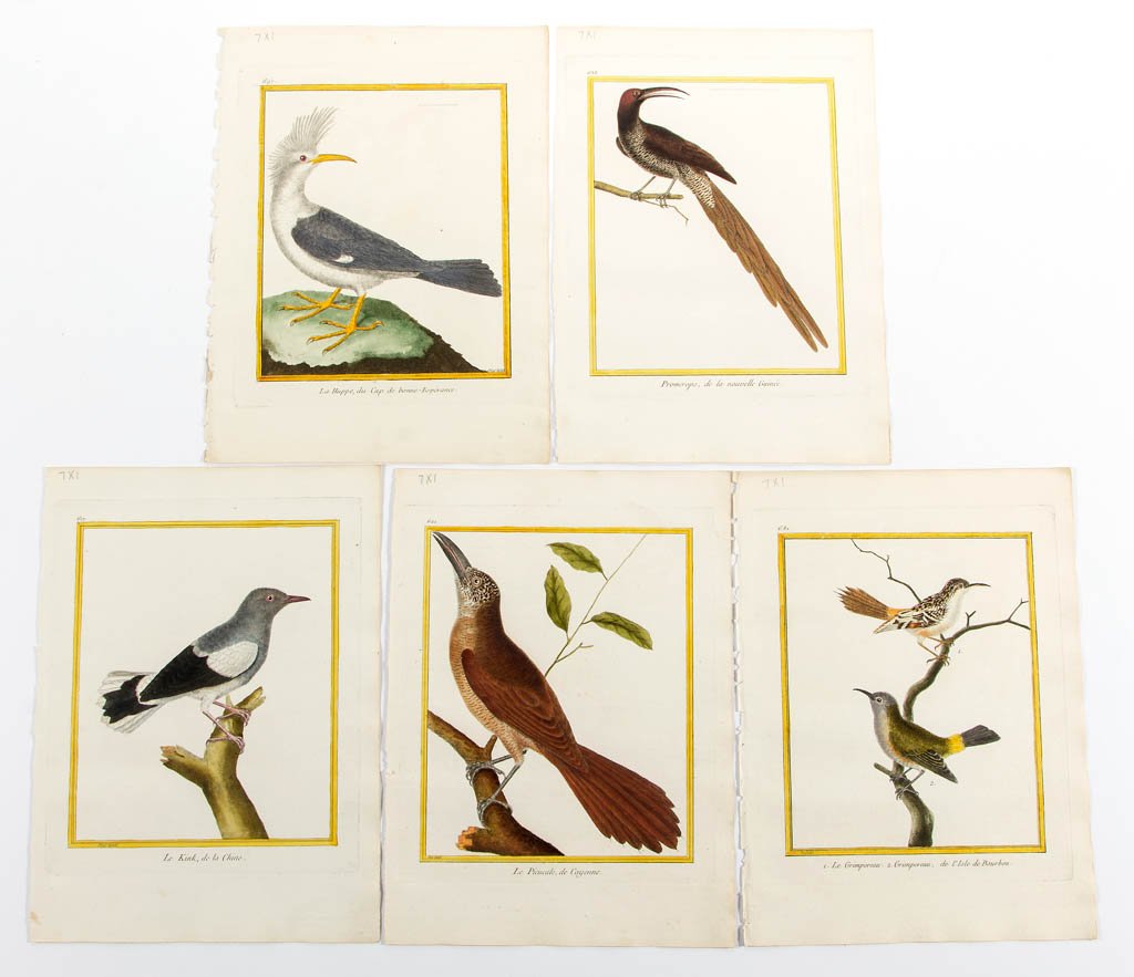 FRANCOIS NICOLAS MARTINET (FRENCH, 1725-1804) (1 of 1)